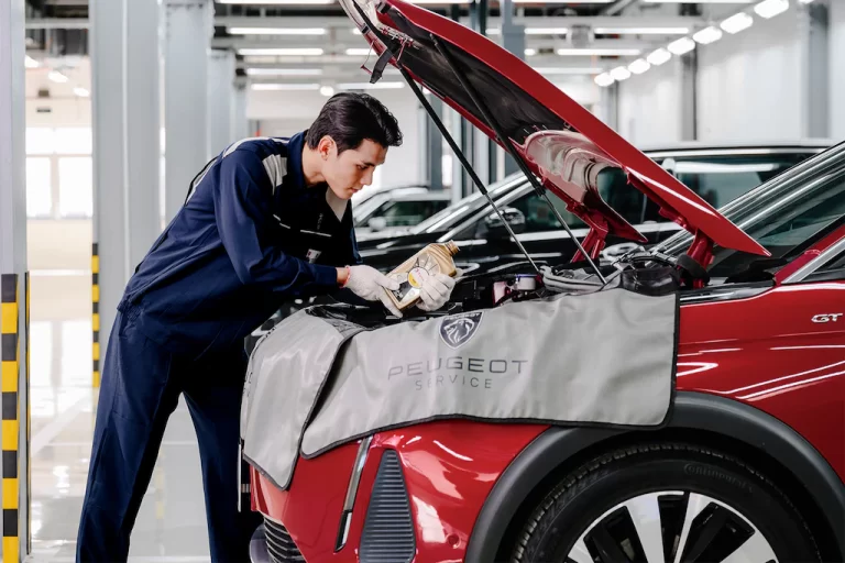 bảo dưỡng peugeot