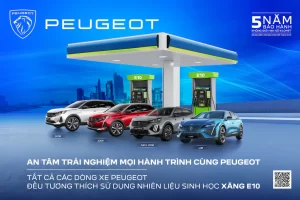 Xe Peugeot dùng xăng E10